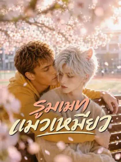 รูมเมทแมวเหมียว