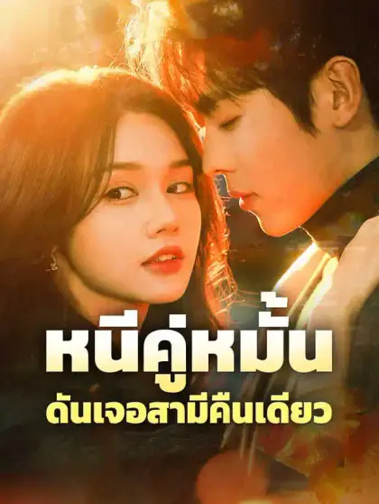 หนีคู่หมั้น ดันเจอสามีคืนเดียว
