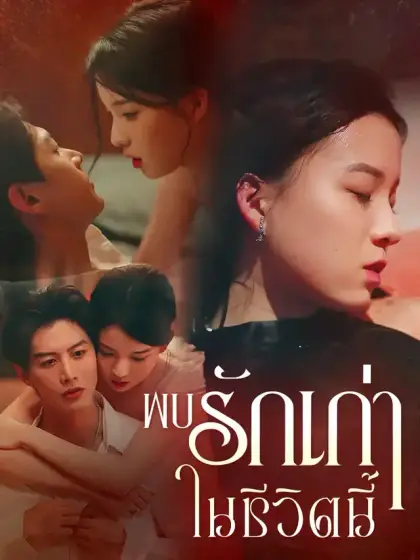 พบรักเก่าในชีวิตนี้