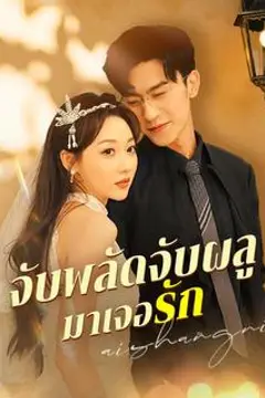 จับพลัดจับผลูมาเจอรัก