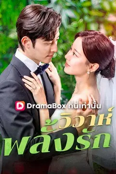 วิวาห์พลั้งรัก(พากย์ไทย)