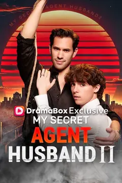 My Secret Agent Husband 2
