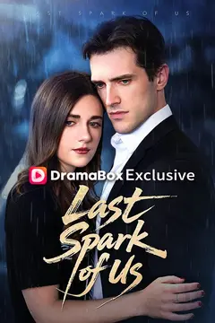 The Last Spark of Us