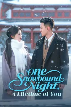 One Snowbound Night, A Lifetime of You