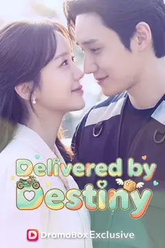 Delivered by Destiny (DUBBED)