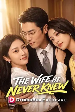 The Wife He Never Knew