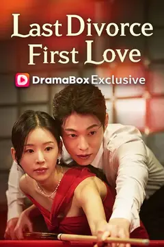 My Last Divorce, My First Love(DUBBED)