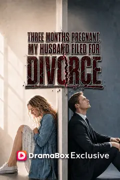 Three Months Pregnant, My Husband Filed For Divorce