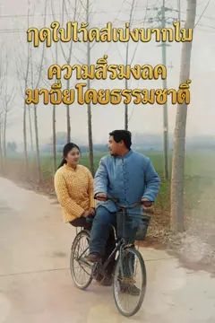 ฤดูใบไม้ผลิเบ่งบานดอกไม้ ความสิริมงคลมาถึงโดยธรรมชาติ