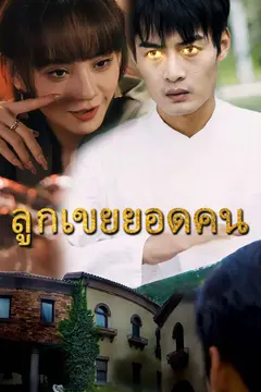 ลูกเขยยอดคน