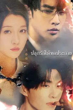 ปลุกรักให้ทอประกาย