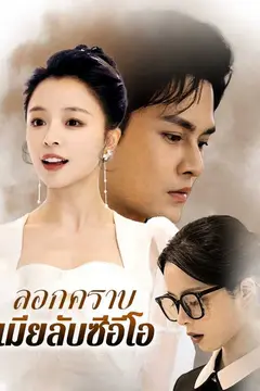 ลอกคราบเมียลับซีอีโอ