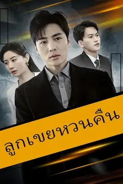 ลูกเขยหวนคืน
