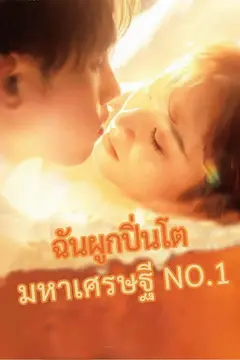 ฉันผูกปิ่นโตมหาเศรษฐี NO.1