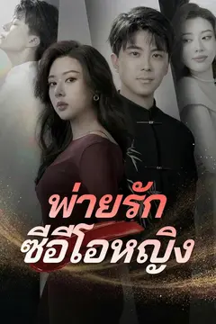 พ่ายรักซีอีโอหญิง