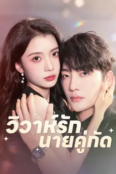 วิวาห์รักนายคู่กัด
