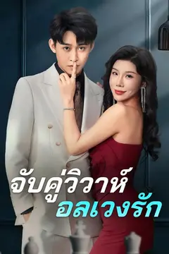 จับคู่วิวาห์อลเวงรัก