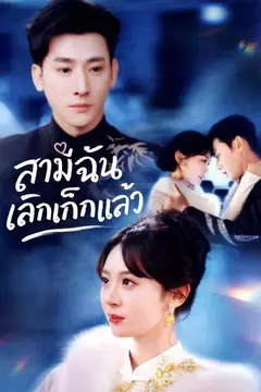 สามีฉันเลิกเก็กแล้ว