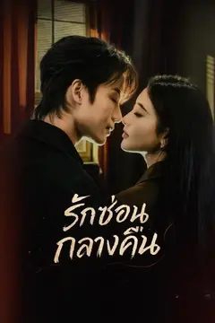 รักซ่อนกลางคืน