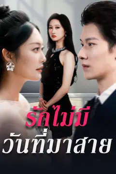 รักไม่มีวันที่มาสาย