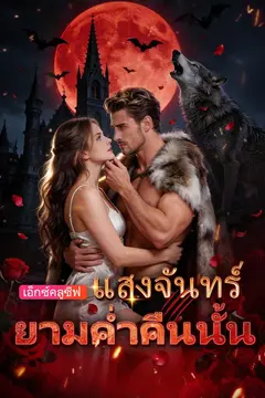 แสงจันทร์ยามค่ำคืนนั้น