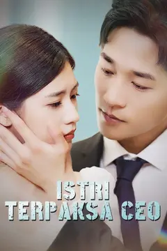 Istri Terpaksa CEO